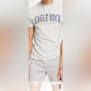 Slim fit chino shorts in light gray. NWOT